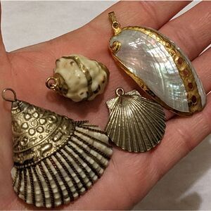 Four different unique Seashell pendants